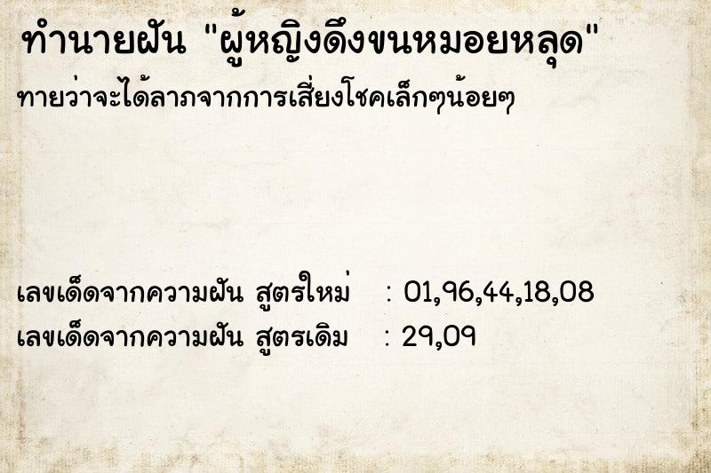 ทำนายฝันผู้หญิงดึงขนหมอยหลุด ทำนายฝันทำนายฝันผู้หญิงดึงขนหมอยหลุด