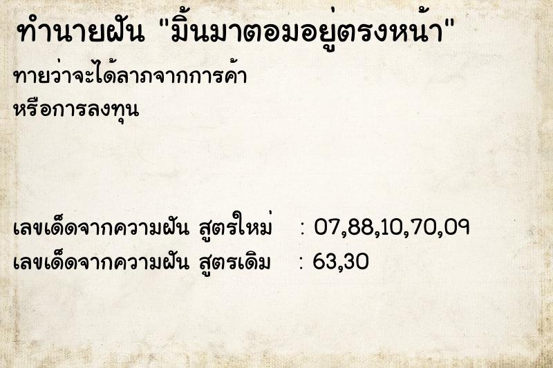 ทำนายฝันทำนายฝันมิ้นมาตอมอยู่ตรงหน้า