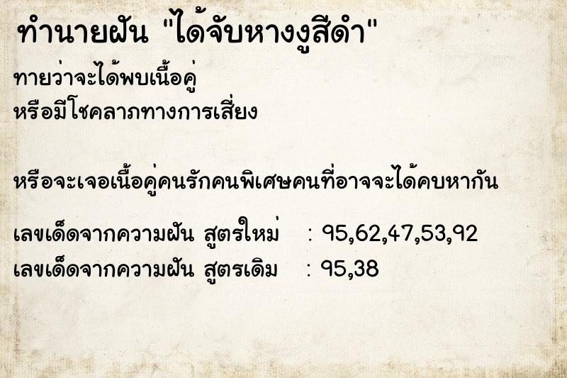 ทำนายฝันได้จับหางงูสีดำ ทำนายฝันทำนายฝันได้จับหางงูสีดำ