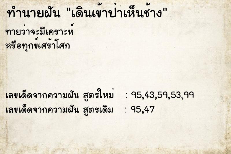 ทำนายฝัน เดินเข้าป่าเห็นช้าง ทำนายฝัน เดินเข้าป่าเห็นช้าง