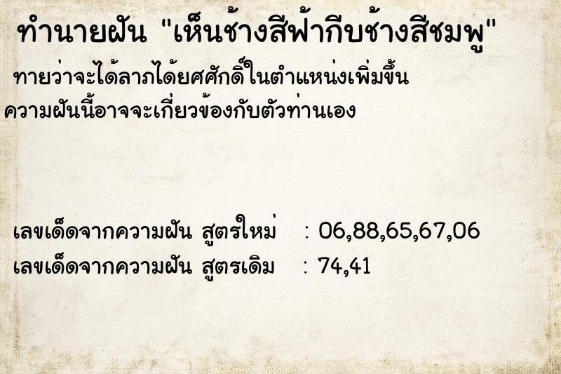 ทำนายฝันเห็นช้างสีฟ้ากีบช้างสีชมพู ทำนายฝันทำนายฝันเห็นช้างสีฟ้ากีบช้างสีชมพู