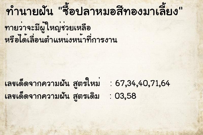 ทำนายฝันทำนายฝันซื้อปลาหมอสีทองมาเลี้ยง