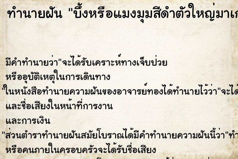 ทำนายฝัน บึ้งหรือแมงมุมสีดำตัวใหญ่มาเกาะ ทำนายฝัน บึ้งหรือแมงมุมสีดำตัวใหญ่มาเกาะ