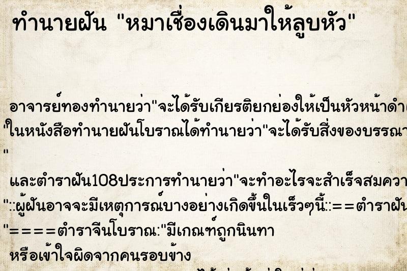 ทำนายฝันหมาเชื่องเดินมาให้ลูบหัว ทำนายฝันทำนายฝันหมาเชื่องเดินมาให้ลูบหัว