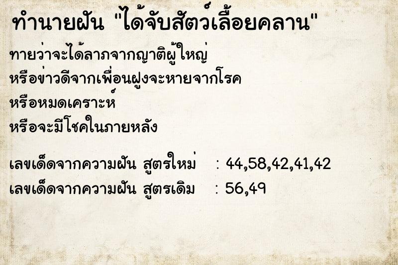 ทำนายฝัน ได้จับสัตว์เลื้อยคลาน