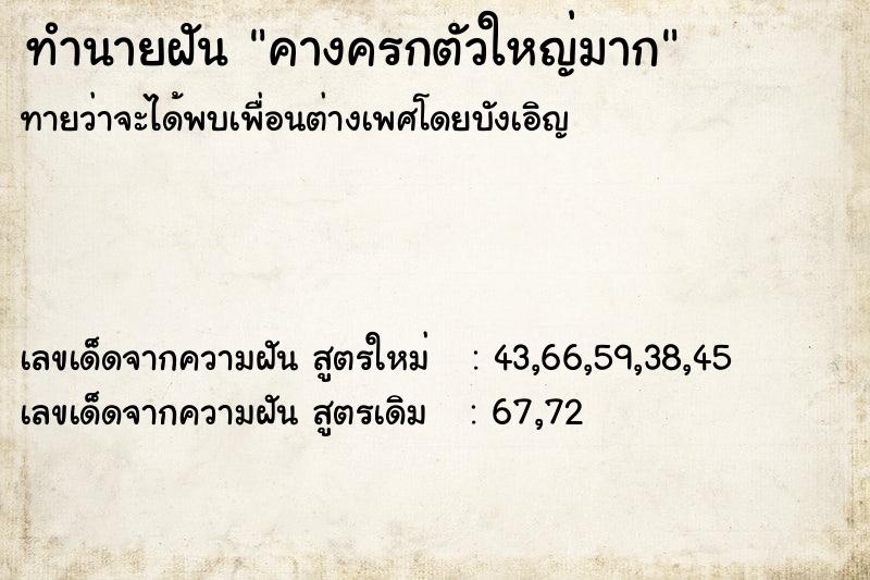 ทำนายฝันคางครกตัวใหญ่มาก ทำนายฝันทำนายฝันคางครกตัวใหญ่มาก