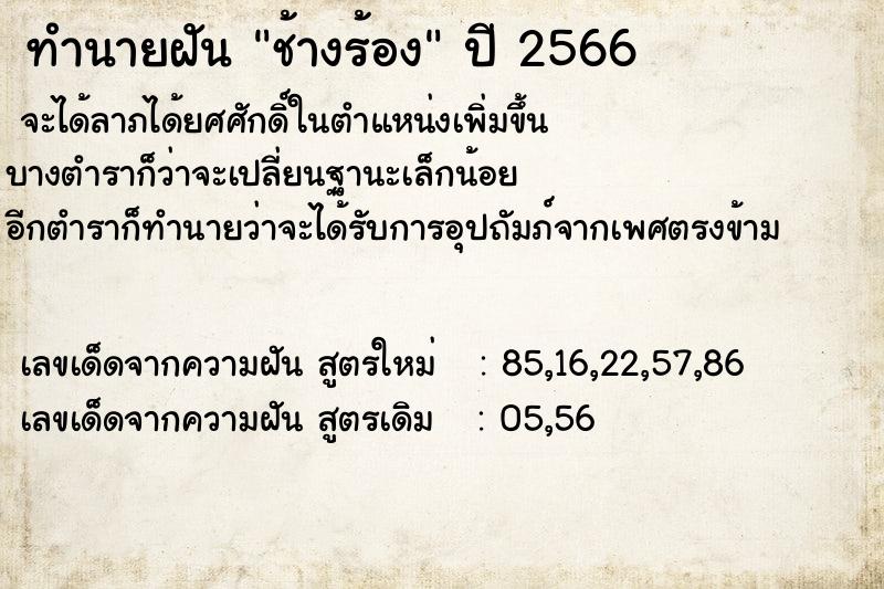 ทำนายฝันช้างร้อง ทำนายฝันทำนายฝันช้างร้อง