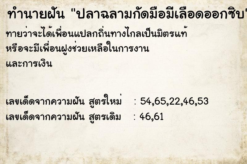 ทำนายฝัน ปลาฉลามกัดมือมีเลือดออกซิบ ทำนายฝัน ปลาฉลามกัดมือมีเลือดออกซิบ