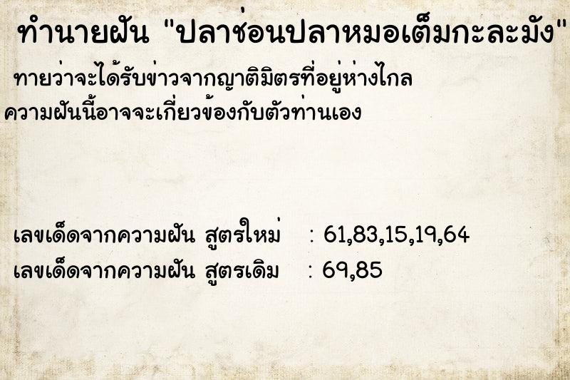 ทำนายฝัน ปลาช่อนปลาหมอเต็มกะละมัง ทำนายฝัน ปลาช่อนปลาหมอเต็มกะละมัง
