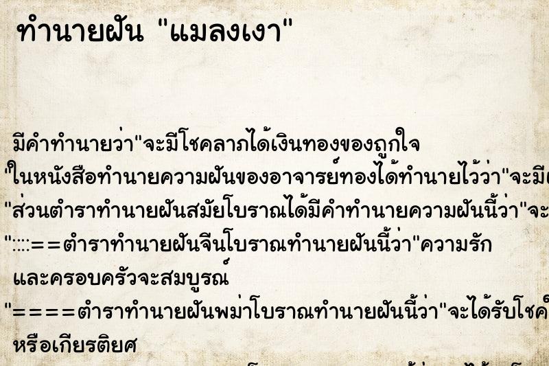 ทำนายฝันแมลงเงา ทำนายฝันทำนายฝันแมลงเงา