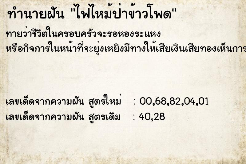 ทำนายฝันไฟไหม้ป่าข้าวโพด ทำนายฝันทำนายฝันไฟไหม้ป่าข้าวโพด