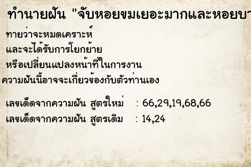 ทำนายฝันจับหอยขมเยอะมากและหอยบาดมือ ทำนายฝันทำนายฝันจับหอยขมเยอะมากและหอยบาดมือ