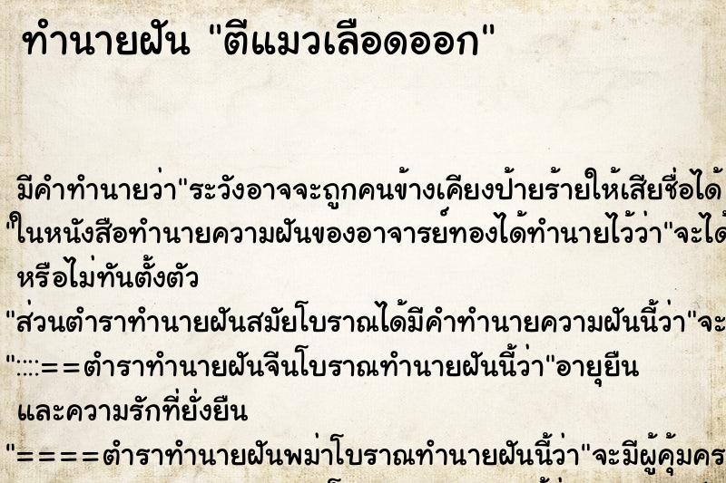 ทำนายฝัน ตีแมวเลือดออก ทำนายฝัน ตีแมวเลือดออก