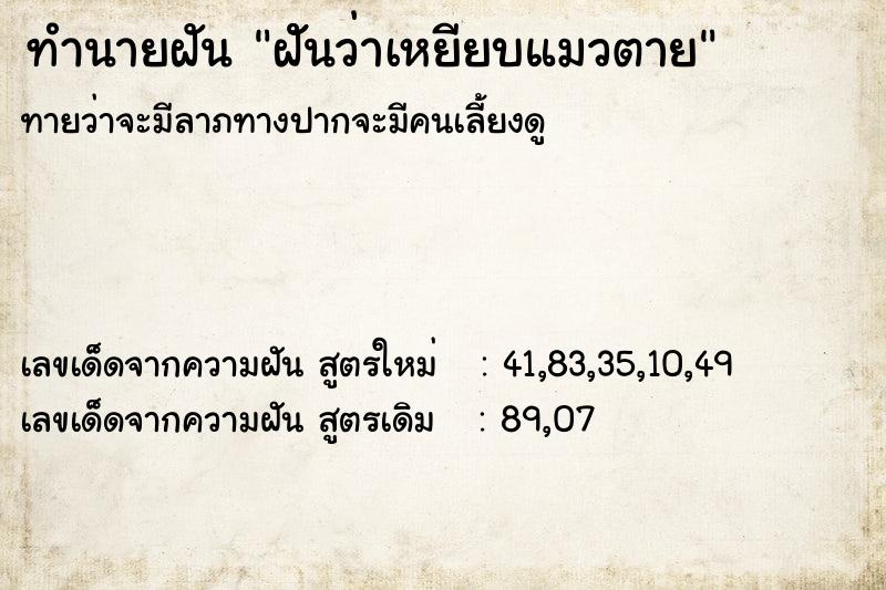 ทำนายฝันฝัันว่าเหยียบแมวตาย ทำนายฝันทำนายฝันฝัันว่าเหยียบแมวตาย