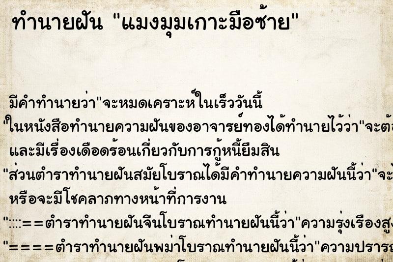 ทำนายฝัน แมงมุมเกาะมือซ้าย ทำนายฝัน แมงมุมเกาะมือซ้าย
