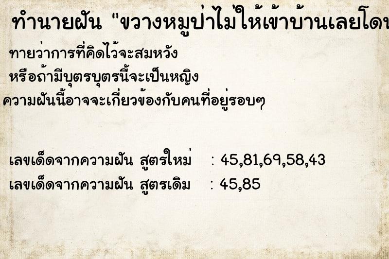 ทำนายฝันขวางหมูป่าไม่ให้เข้าบ้านเลยโดนหมูป่ากัด ทำนายฝันทำนายฝันขวางหมูป่าไม่ให้เข้าบ้านเลยโดนหมูป่ากัด