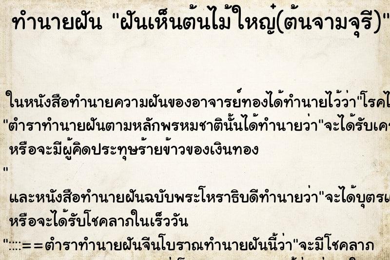 ทำนายฝัน ฝันเห็นต้นไม้ใหญ๋(ต้นจามจุรี) ตำราโบราณ แม่นที่สุดในโลก