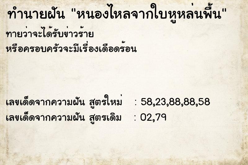 ทำนายฝันหนองไหลจากใบหูหล่นพื้น ทำนายฝันทำนายฝันหนองไหลจากใบหูหล่นพื้น