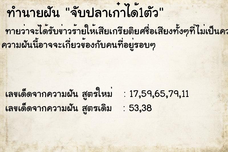 ทำนายฝันทำนายฝันจับปลาเก๋าได้1ตัว