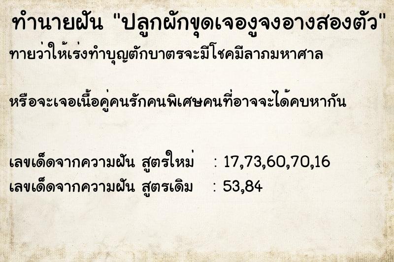 ทำนายฝันทำนายฝันปลูกผักขุดเจองูจงอางสองตัว