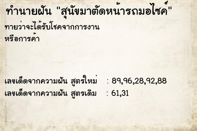 ทำนายฝัน สุนัขมาตัดหน้ารถมอไซค์ ทำนายฝัน สุนัขมาตัดหน้ารถมอไซค์