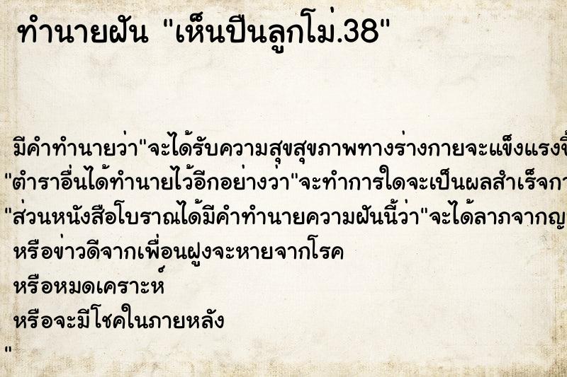 ทำนายฝัน เห็นปืนลูกโม่.38 ทำนายฝัน เห็นปืนลูกโม่.38