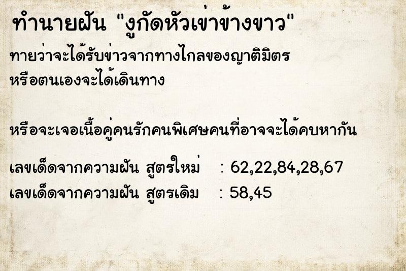 ทำนายฝันงูกัดหัวเข่าข้างขาว ทำนายฝันทำนายฝันงูกัดหัวเข่าข้างขาว
