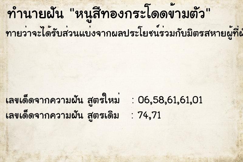 ทำนายฝันทำนายฝันหนูสีทองกระโดดข้ามตัว