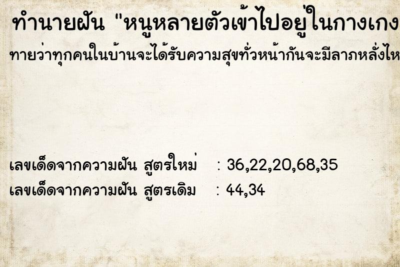 ทำนายฝัน หนูหลายตัวเข้าไปอยู่ในกางเกง ทำนายฝัน หนูหลายตัวเข้าไปอยู่ในกางเกง