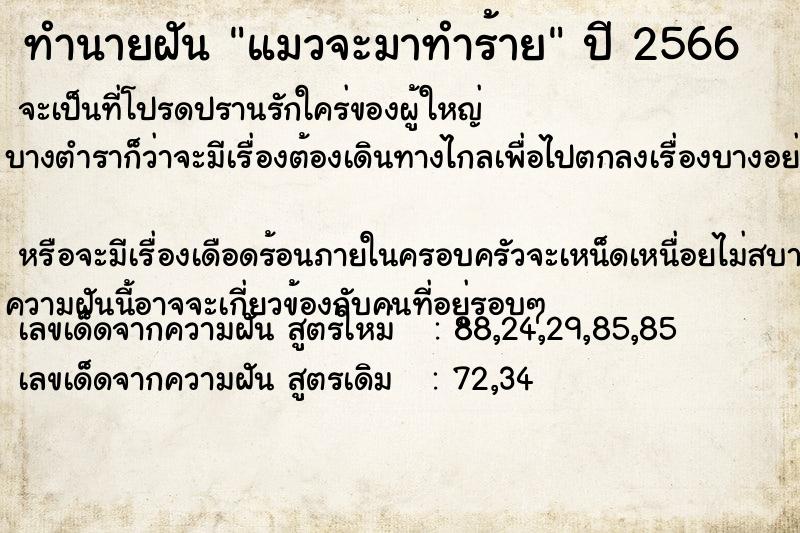 ทำนายฝันทำนายฝันแมวจะมาทำร้าย