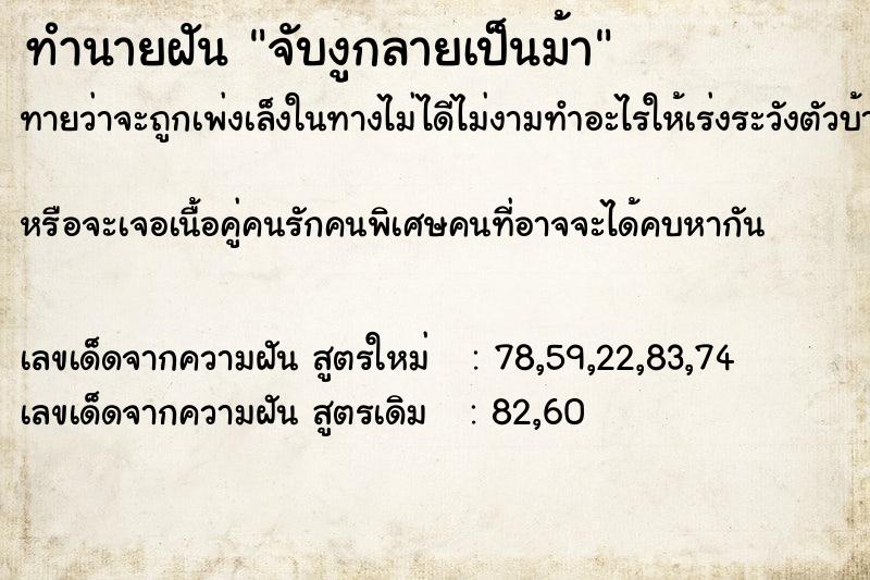 ทำนายฝันจับงูกลายเป็นม้า ทำนายฝันทำนายฝันจับงูกลายเป็นม้า