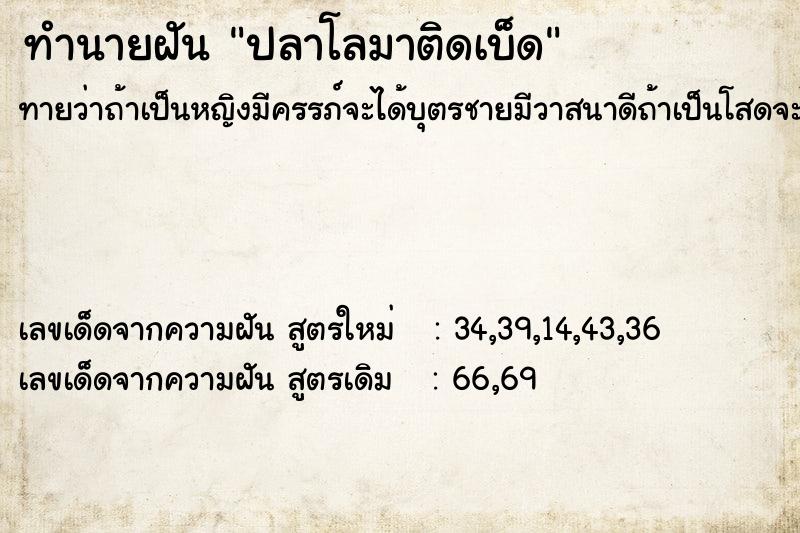 ทำนายฝัน ปลาโลมาติดเบ็ด ทำนายฝัน ปลาโลมาติดเบ็ด