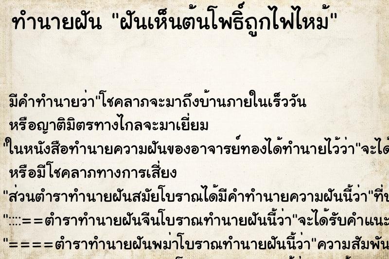 ทำนายฝัน ฝันเห็นต้นโพธิ์ถูกไฟไหม้ ทำนายฝัน ฝันเห็นต้นโพธิ์ถูกไฟไหม้