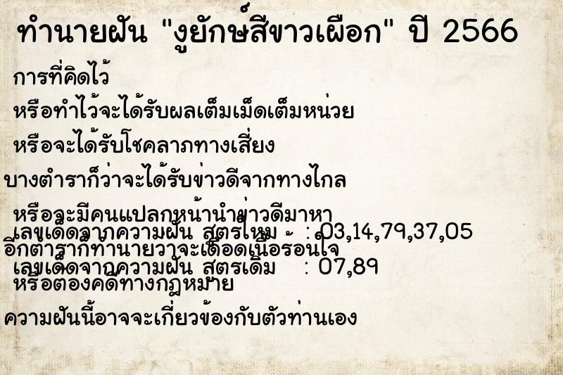 ทำนายฝัน งูยักษ์สีขาวเผือก