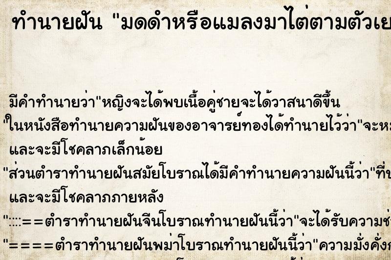 ทำนายฝันทำนายฝันมดดำหรือแมลงมาไต่ตามตัวเยอะมาก