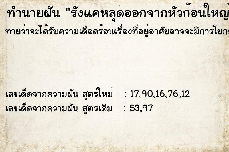 ทำนายฝันทำนายฝันรังแคหลุดออกจากหัวก้อนใหญ่