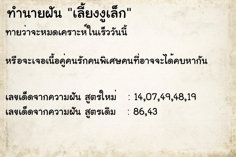 ทำนายฝันเลี้ยงงูเล็ก ทำนายฝันทำนายฝันเลี้ยงงูเล็ก