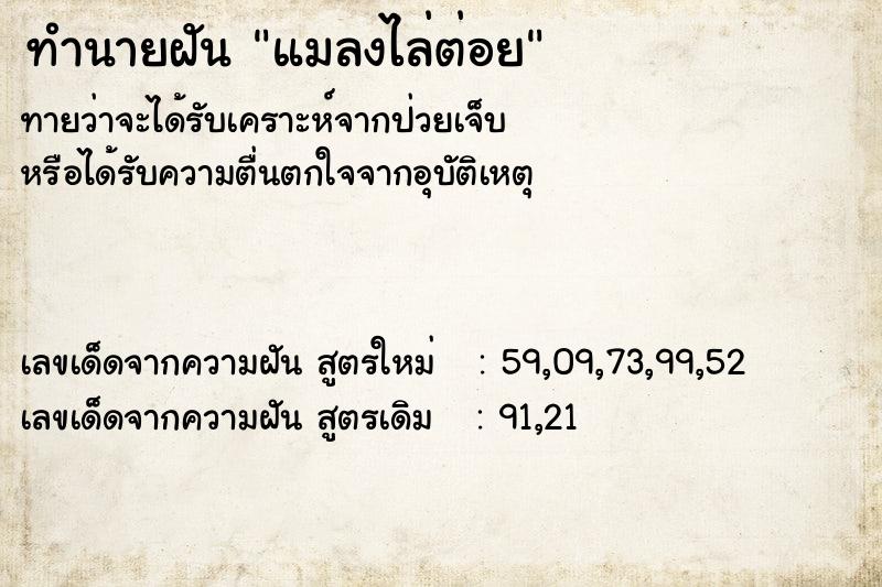 ทำนายฝัน แมลงไล่ต่อย ตำราโบราณ แม่นที่สุดในโลก