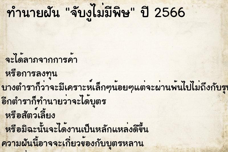 ทำนายฝันจับงูไม่มีพิษ ทำนายฝันทำนายฝันจับงูไม่มีพิษ