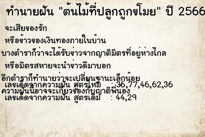 ทำนายฝันทำนายฝันต้นไม้ที่ปลูกถูกขโมย
