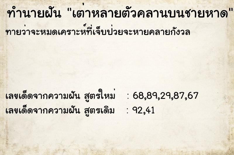 ทำนายฝันเต่าหลายตัวคลานบนชายหาด ทำนายฝันทำนายฝันเต่าหลายตัวคลานบนชายหาด