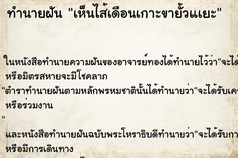 ทำนายฝัน เห็นไส้เดือนเกาะขายั้วแเยะ