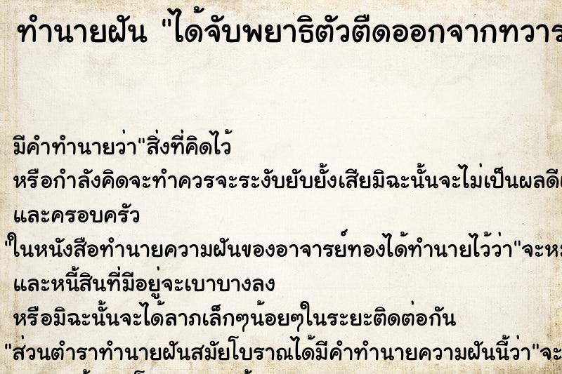 ทำนายฝัน ได้จับพยาธิตัวตืดออกจากทวารหนัก