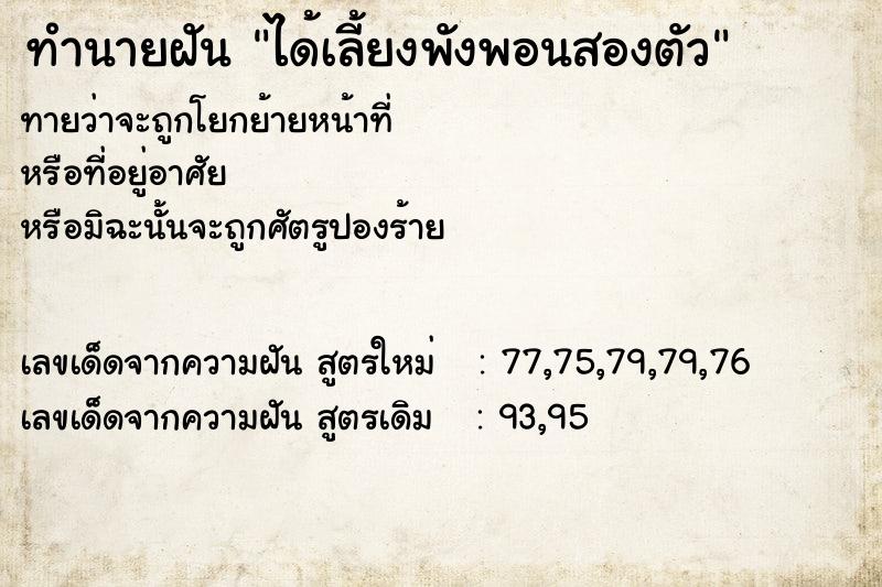 ทำนายฝันได้เลี้ยงพังพอนสองตัว ทำนายฝันทำนายฝันได้เลี้ยงพังพอนสองตัว