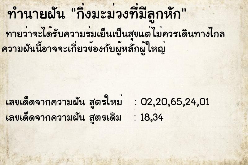 ทำนายฝันกิ่งมะม่วงที่มีลูกหัก ทำนายฝันทำนายฝันกิ่งมะม่วงที่มีลูกหัก