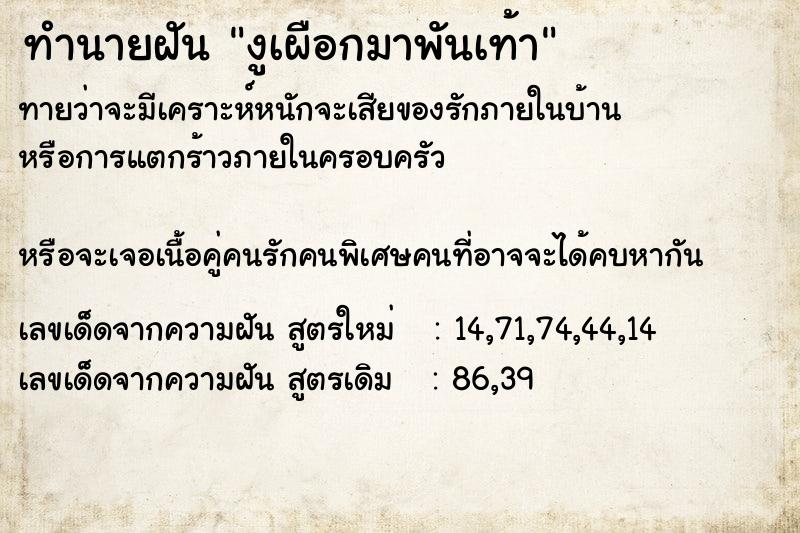 ทำนายฝันทำนายฝันงูเผือกมาพันเท้า