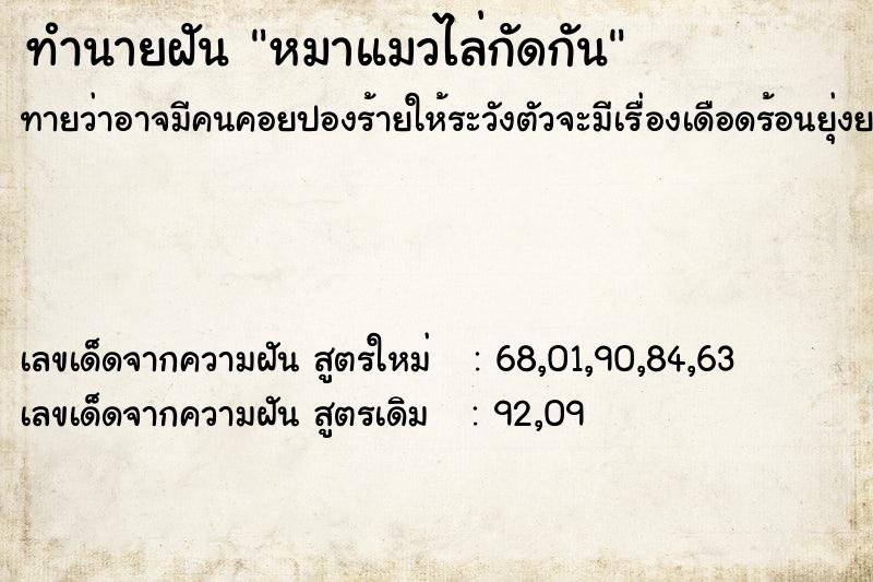 ทำนายฝันหมาแมวไล่กัดกัน ทำนายฝันทำนายฝันหมาแมวไล่กัดกัน