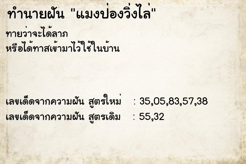 ทำนายฝัน แมงป่องวิ่งไล่ ตำราโบราณ แม่นที่สุดในโลก