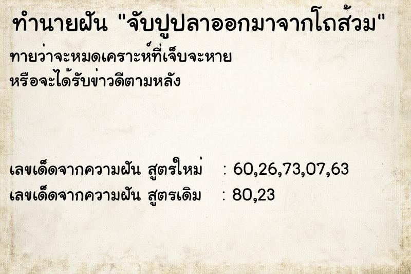 ทำนายฝันจับปูปลาออกมาจากโถส้วม ทำนายฝันทำนายฝันจับปูปลาออกมาจากโถส้วม