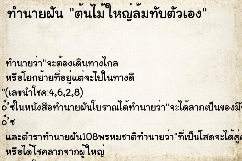 ทำนายฝัน ต้นไม้ใหญ่ล้มทับตัวเอง